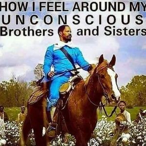 Meet your Posher, Piper